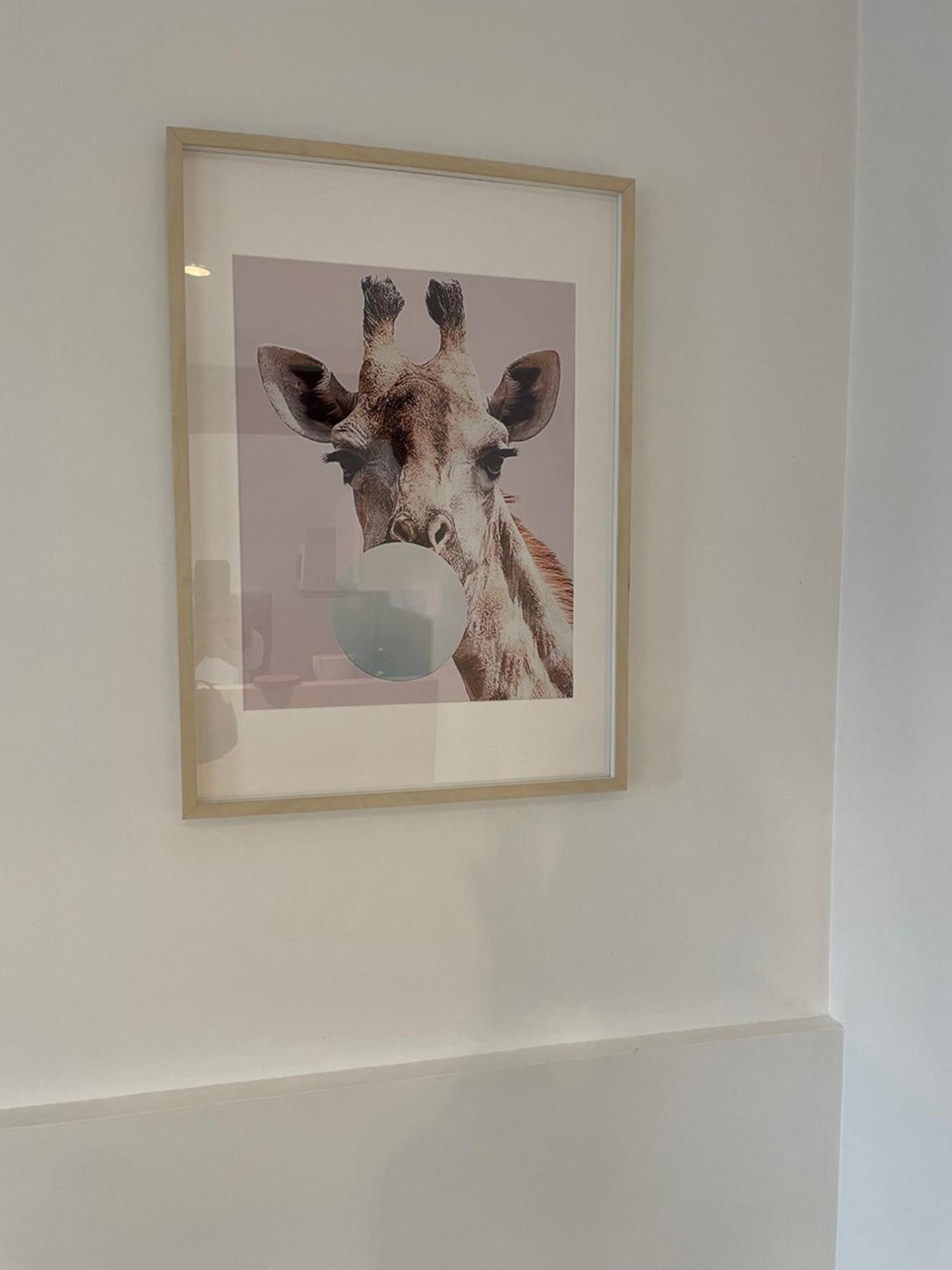 Le Cocon De Beauval Apartment Chateauvieux  Bagian luar foto